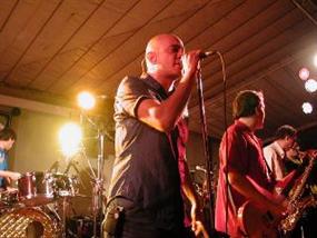 ELSIELAND Pericos en vivo 5