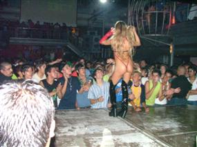 ELSIELAND Elsieland Shows y Eventos 16